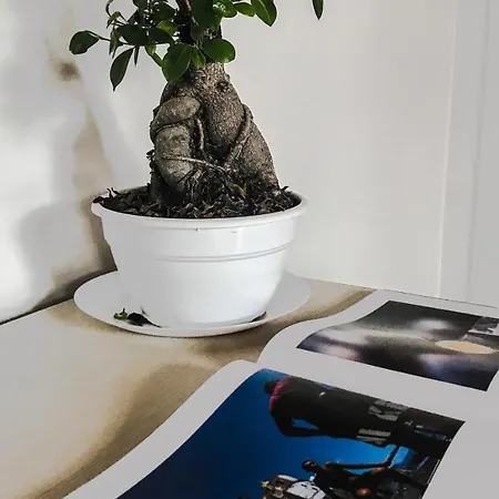 Bed & Breakfast Na Bona Nuttata Napoli